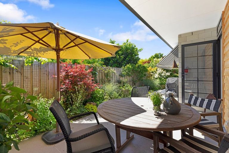 Photo of property in 50b Sixteenth Avenue, Tauranga South, Tauranga, 3112