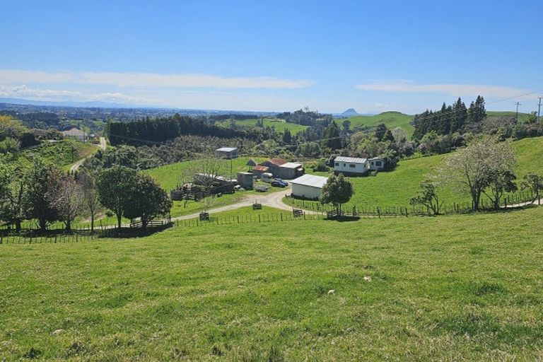 Photo of property in 211 Warner Road, Oropi, 3173