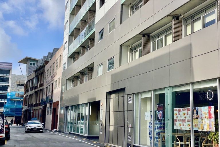 Photo of property in Monvie Apartments, 212/15 Holland Street, Te Aro, Wellington, 6011
