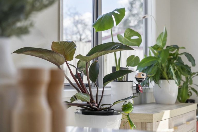 Photo of property in 5a Ruby Place, Papamoa Beach, Papamoa, 3118