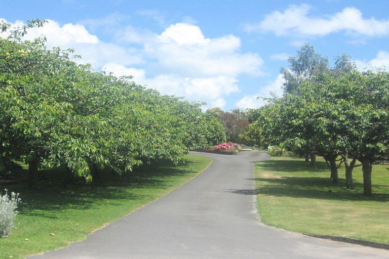 Photo of property in 76 No 1 Road, Te Puke, 3182