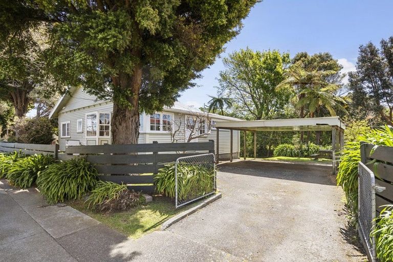 Photo of property in 133 Kings Crescent, Hutt Central, Lower Hutt, 5010