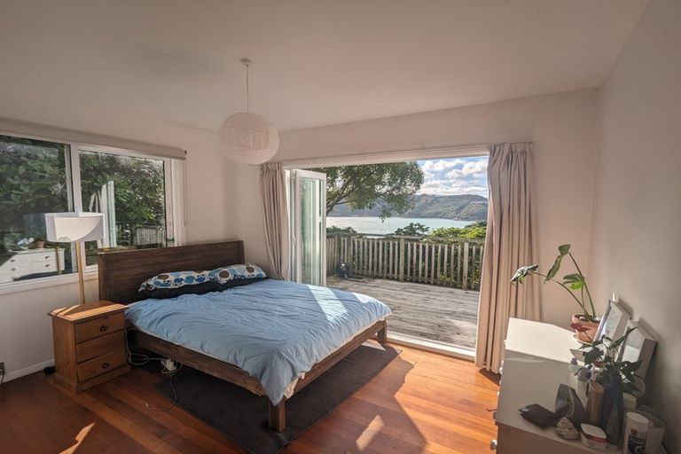 Photo of property in 161 Grafton Road, Hataitai, Wellington, 6011