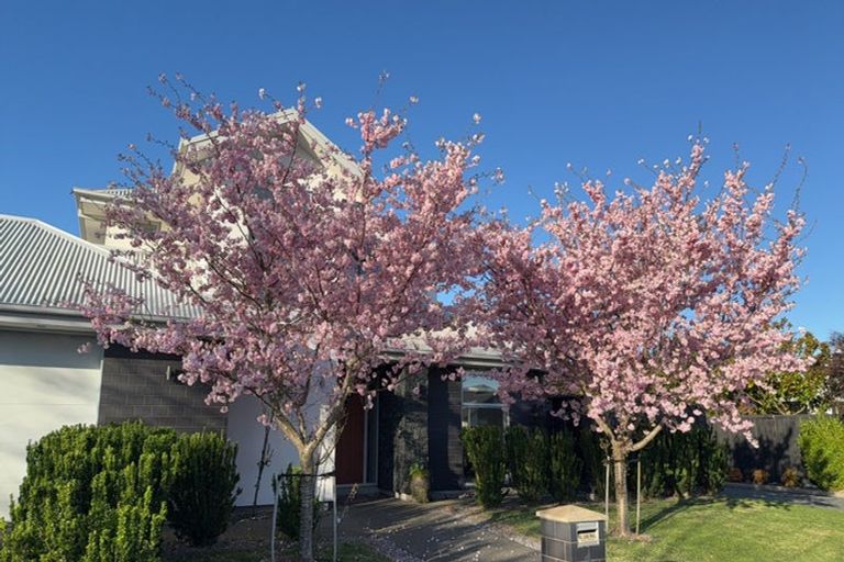 Photo of property in 1 Canter Lane, Aidanfield, Christchurch, 8025