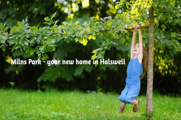 Photo of property in 240 King Street, Temuka, 7920