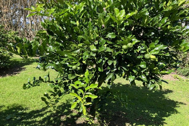 Photo of property in 15 Tarahunga Road, Levin, 5571