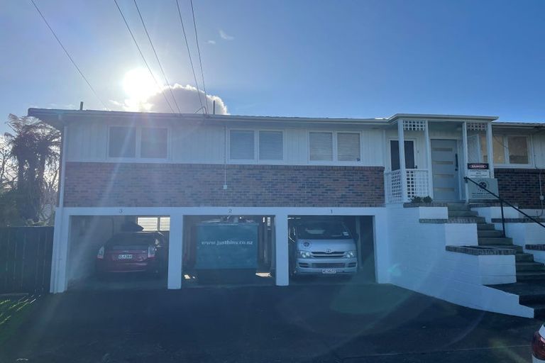 Photo of property in 1/13a Frost Road, Mount Roskill, Auckland, 1041