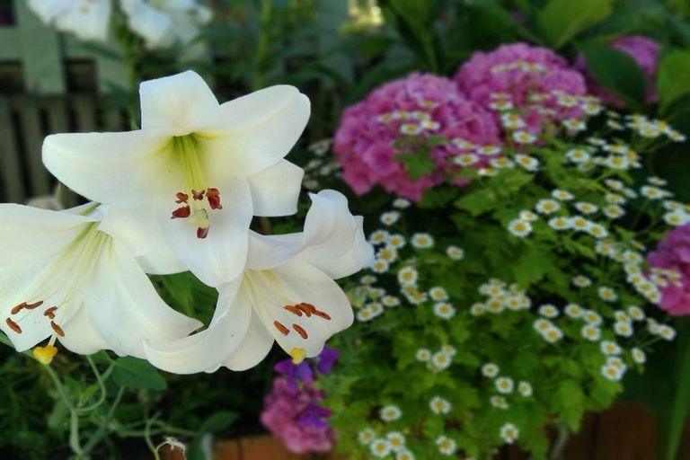 Photo of property in 2/179 Princes Drive, Britannia Heights, Nelson, 7010