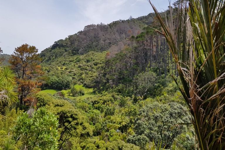 Photo of property in 77 Karekare Road, Karekare, Auckland, 0772