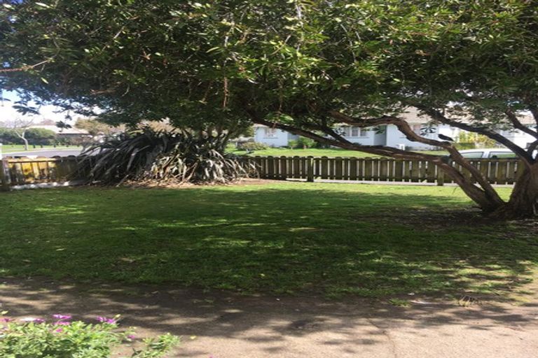 Photo of property in 24 Sare Crescent, Fairfield, Hamilton, 3214