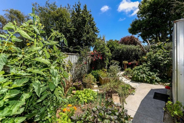 Photo of property in 14 Nursery Place, Westown, New Plymouth, 4310