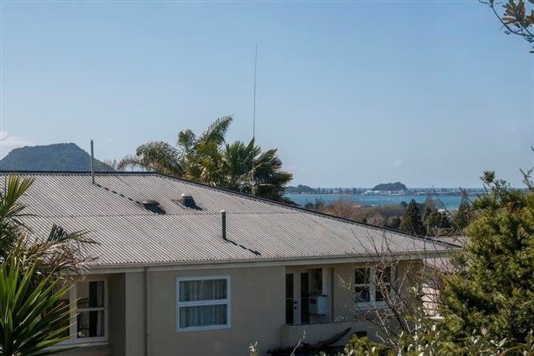Photo of property in 287b Otumoetai Road, Otumoetai, Tauranga, 3110