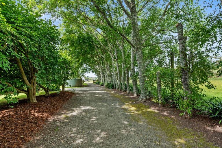 Photo of property in 279 Peak Road, Kaukapakapa, Helensville, 0875