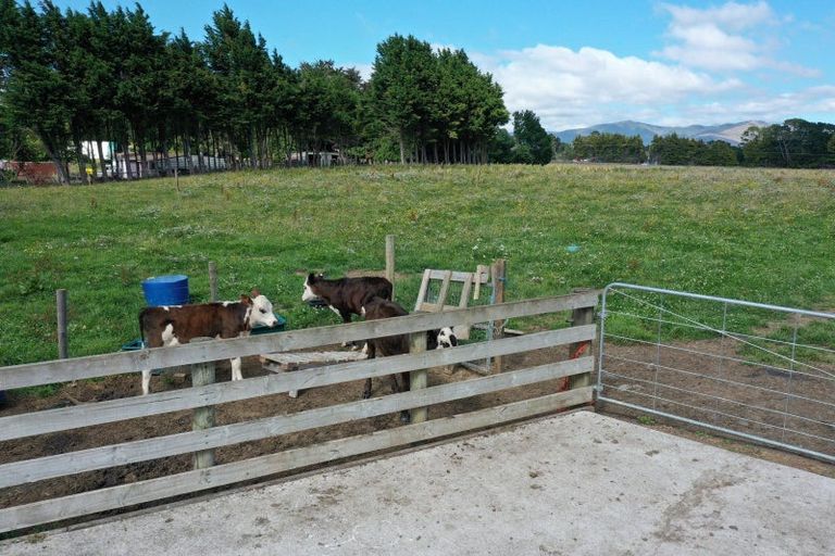 Photo of property in 42 Bright Street, Eketahuna, 4900