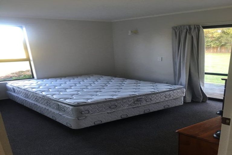 Photo of property in 62 Ferry Road, Spring Creek, 7202