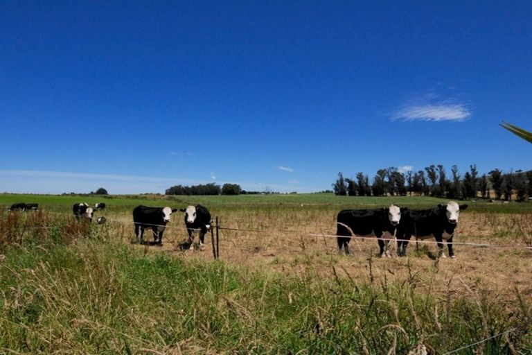 Photo of property in 192 Waihao Back Road, Waimate, 7979