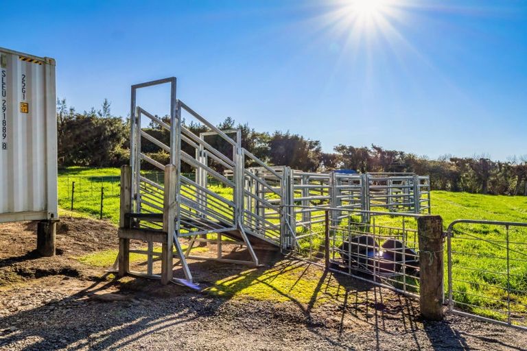 Photo of property in 533 Wainui Road South, Whakamarama, Tauranga, 3180