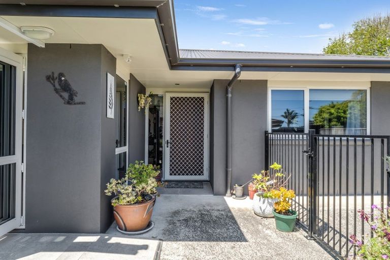 Photo of property in 112b Weraroa Road, Levin, 5510