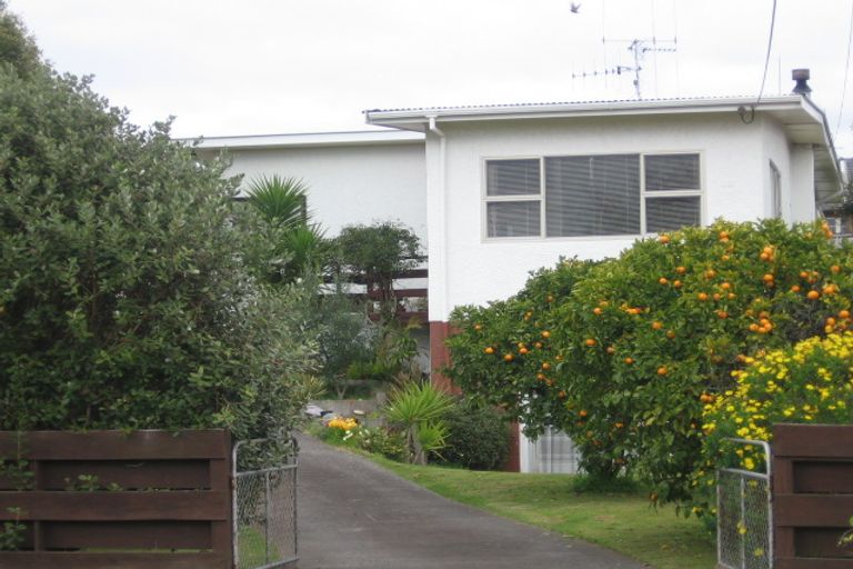 Photo of property in 142 Valley Road, Mount Maunganui, 3116