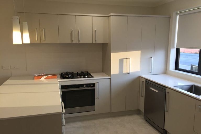 Photo of property in 55 Haddington Drive, Flat Bush, Auckland, 2019