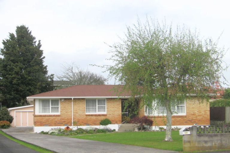 Photo of property in 17 Cobham Drive, Morrinsville, 3300