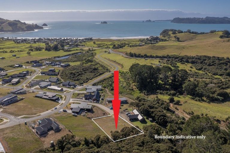 Photo of property in 49 Discovery Drive, Wharekaho, Whitianga, 3510