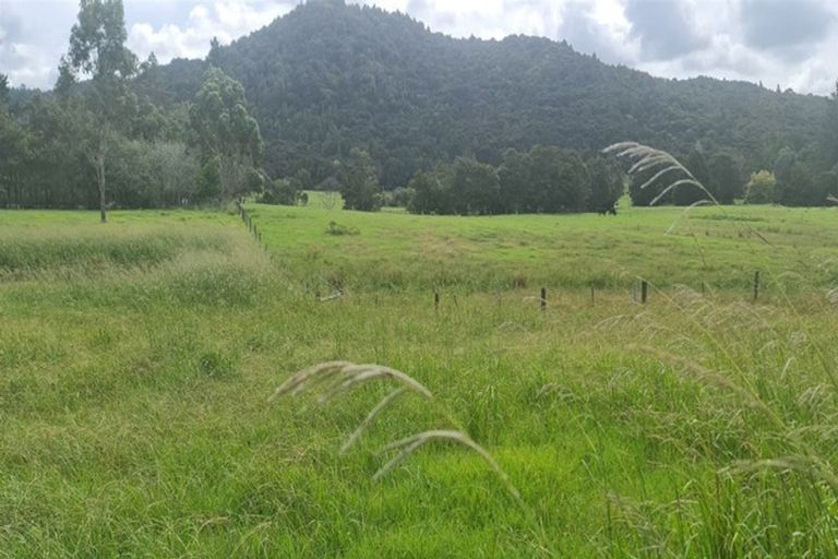 Photo of property in 864 Otangaroa Road, Kaeo, 0479
