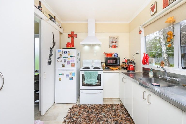 Photo of property in 48 Botanical Road, Takaro, Palmerston North, 4412