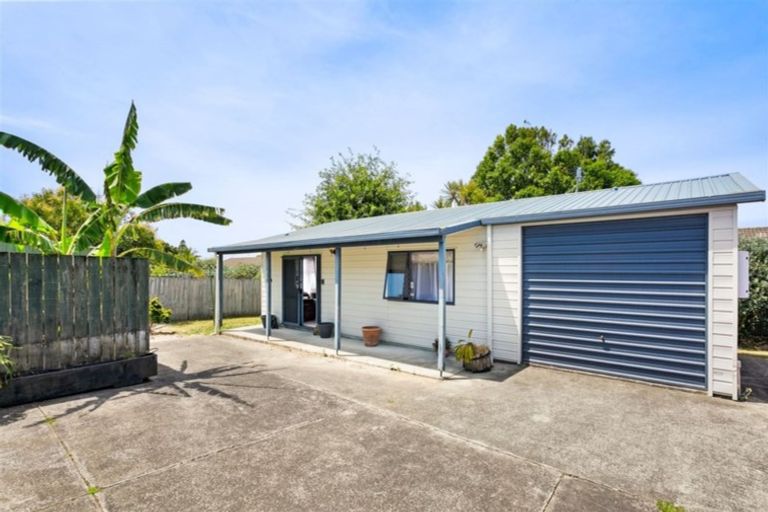 Photo of property in 106a Bruce Mclaren Road, Henderson, Auckland, 0612