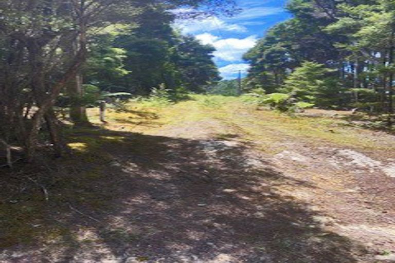 Photo of property in 48 Schoolhouse Bay Road, Kawau Island, 0920