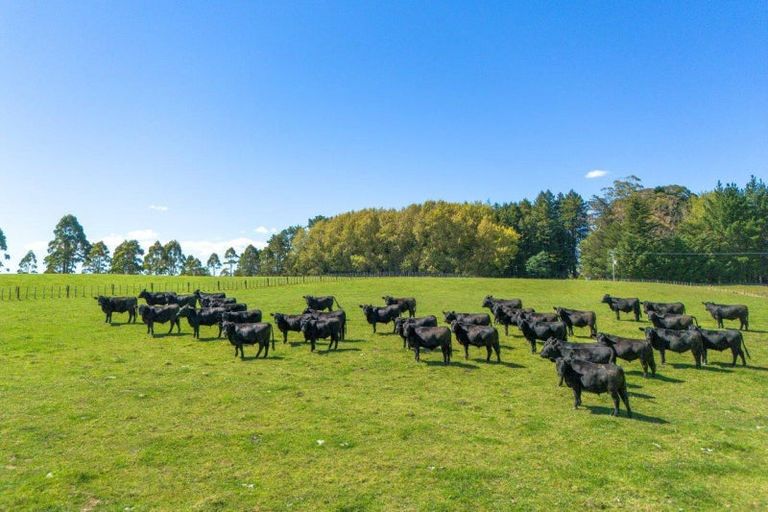 Photo of property in 300 Pattison Road, Akina, Hastings, 4122