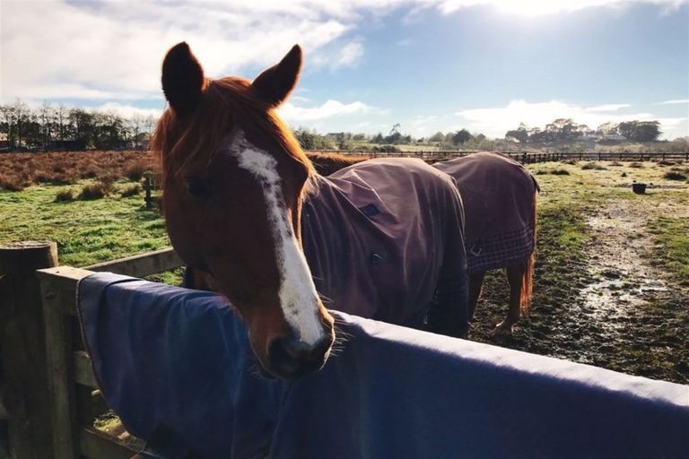 Photo of property in 1 Blackbridge Road, Wadestown, Wellington, 6012