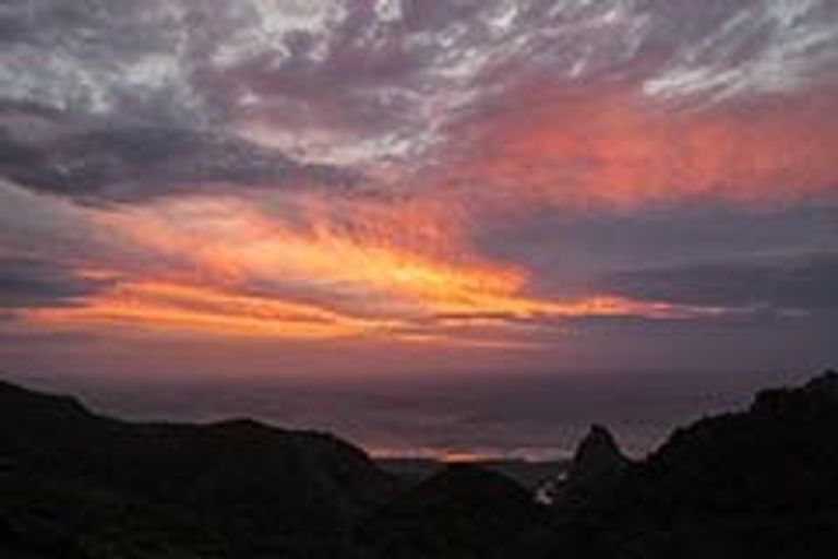 Photo of property in 128 Lone Kauri Road, Karekare, Auckland, 0772