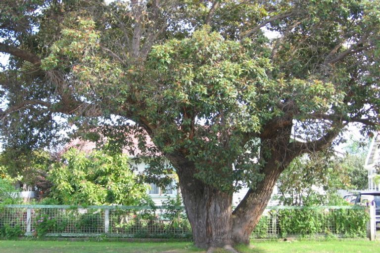 Photo of property in 30 Lyndhurst Street, Awapuni, Gisborne, 4010