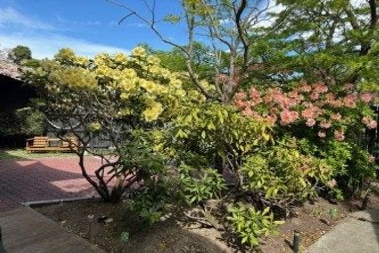 Photo of property in 1 Waitaki Street, Glenwood, Timaru, 7910