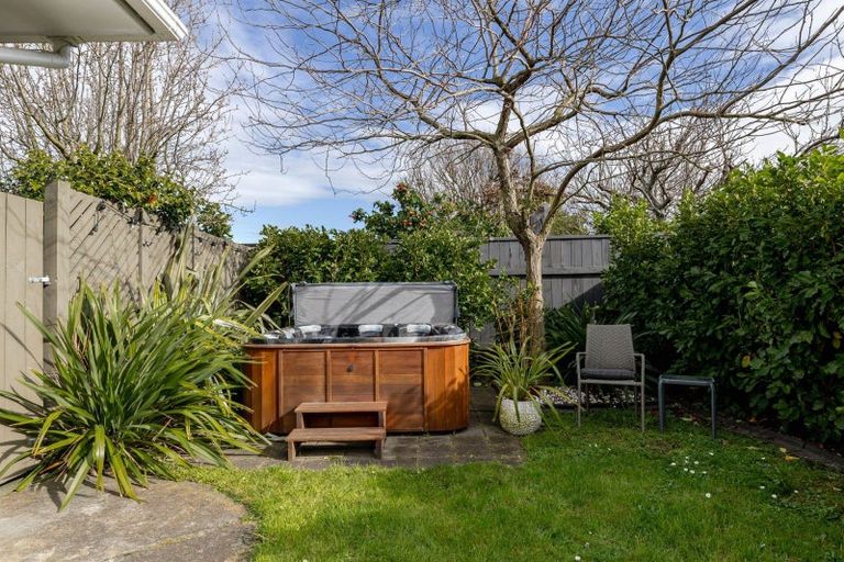 Photo of property in 8 Mcarthur Street, Terrace End, Palmerston North, 4410