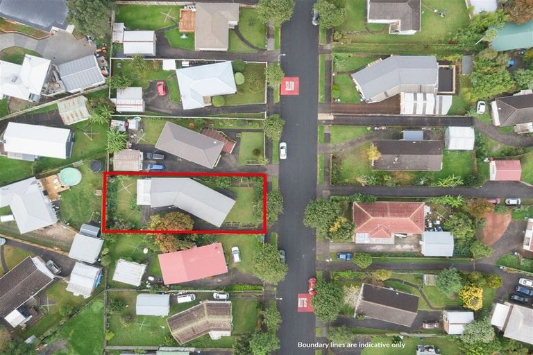 Photo of property in 47 Maple Street, Avondale, Auckland, 1026