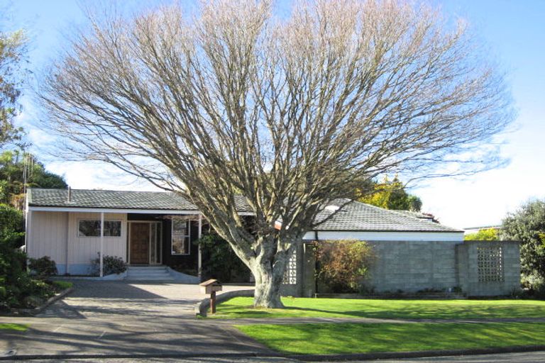 Photo of property in 23 Macarthur Street, Levin, 5510