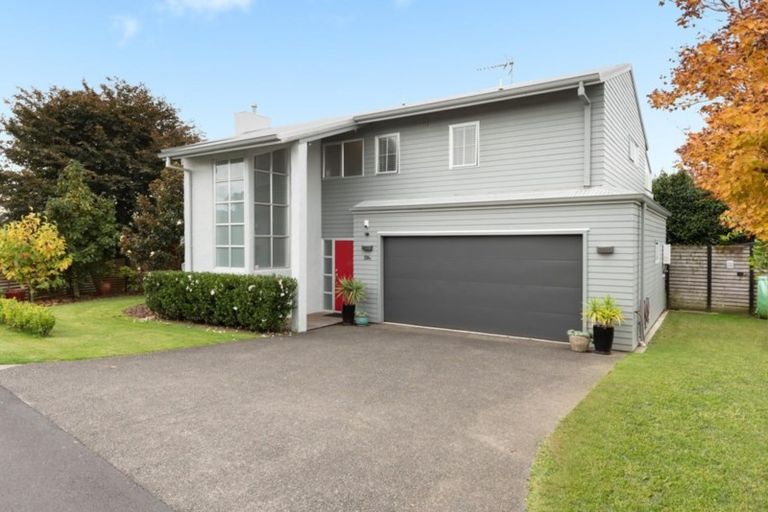 Photo of property in 334b Maungatapu Road, Maungatapu, Tauranga, 3112