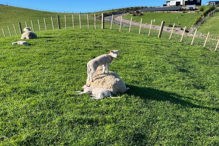 Photo of property in 169 Torehape Road, Kaihere, Ngatea, 3597