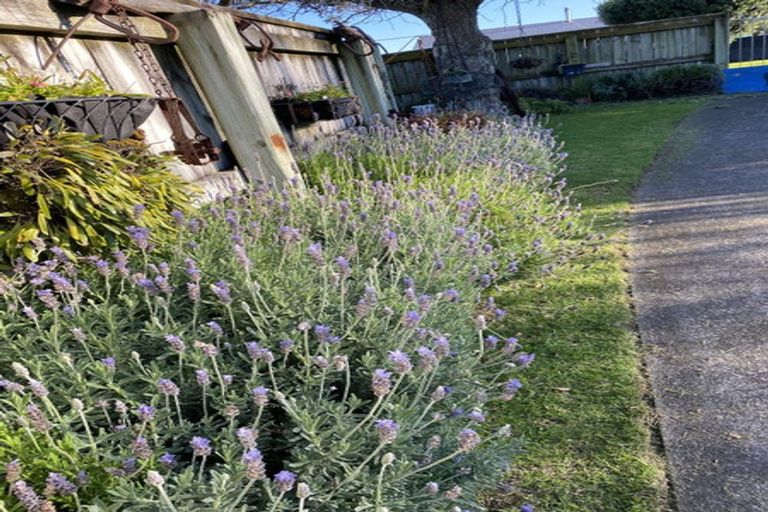 Photo of property in 100 Centennial Avenue, Waitara, 4320