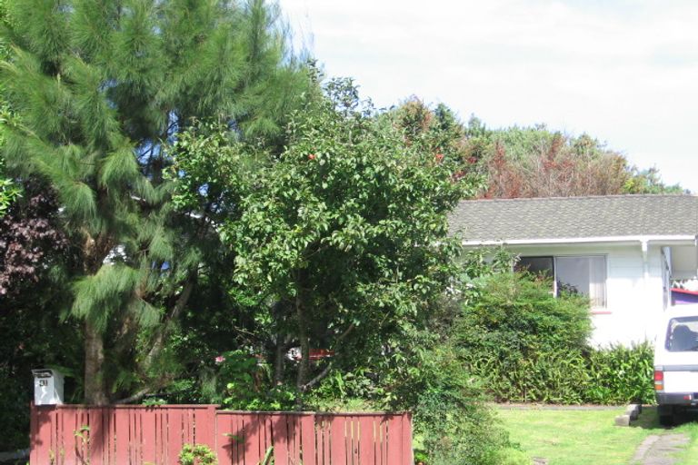 Photo of property in 41 Larissa Avenue, Henderson, Auckland, 0610