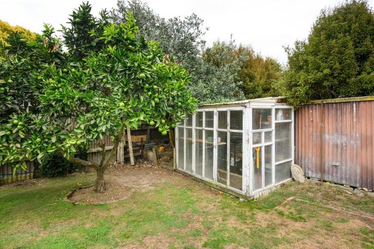 Photo of property in 55 Parkland Crescent, Terrace End, Palmerston North, 4410