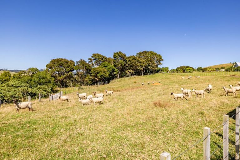 Photo of property in 65 Jamesons Esplanade, Haruru, 0204