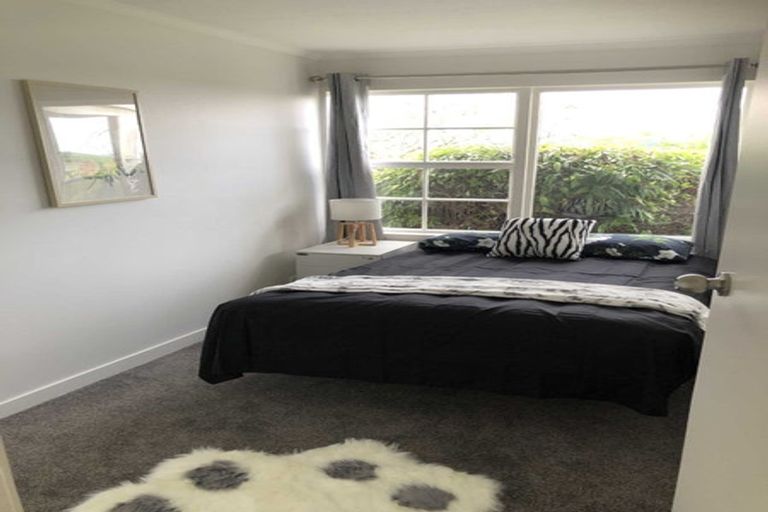 Photo of property in 218 Hampton Downs Road, Whangamarino, Te Kauwhata, 3782