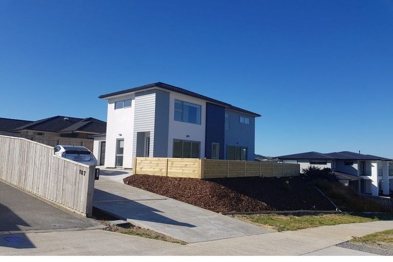 Photo of property in 105 John Burke Drive, Aotea, Porirua, 5024