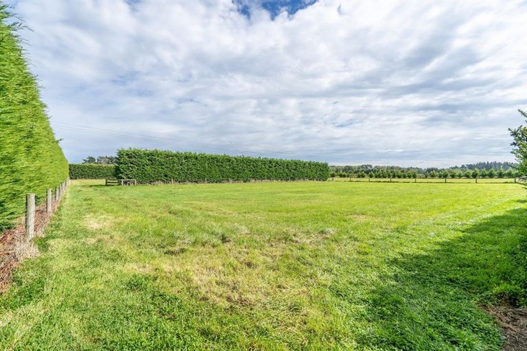 Photo of property in 405 Mill Road North, Myross Bush, Invercargill, 9876