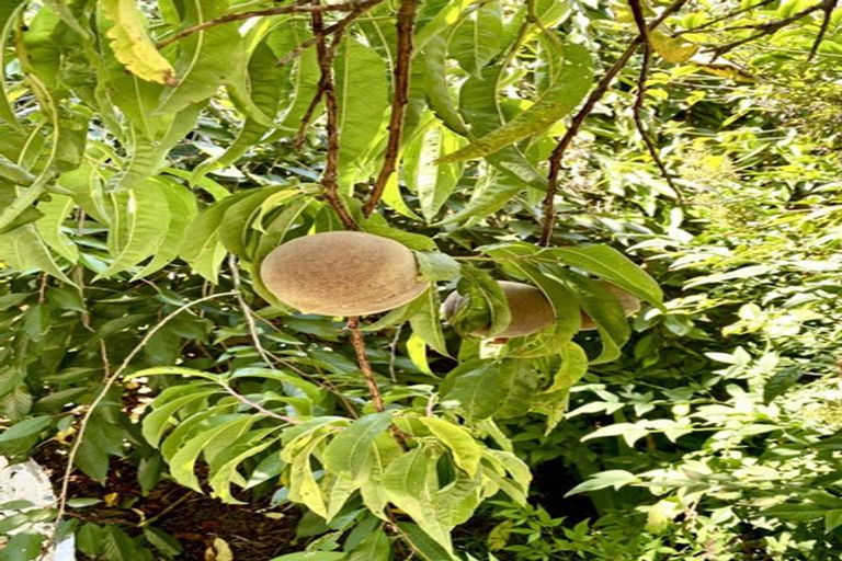 Photo of property in Lynvale Courts, 2/14 Spring Place, Leeston, 7632