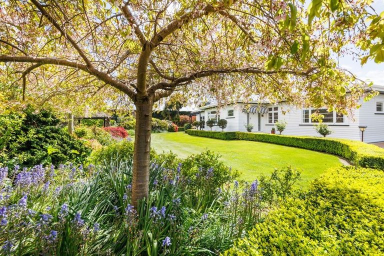 Photo of property in 192 Mill Road, Rongotea, Palmerston North, 4476