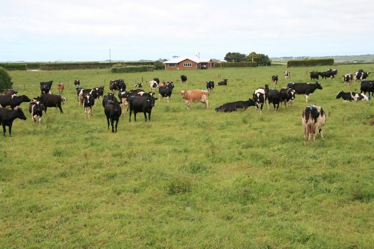 Photo of property in 186 Austin Road, Dairy Flat, Albany, 0794